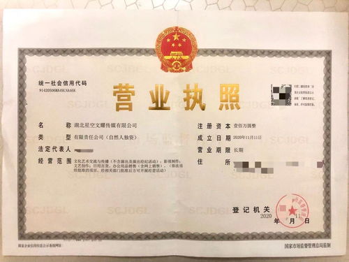 星空文耀 專(zhuān)業(yè)工商注冊(cè)實(shí)體工作室，高價(jià)收購(gòu)飛盧太監(jiān)書(shū)及財(cái)務(wù)咨詢(xún)